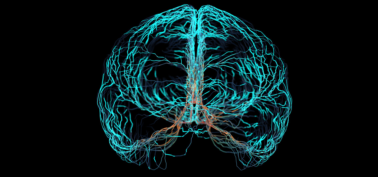 Illustration-of-the-nervous-system-in-the-brain